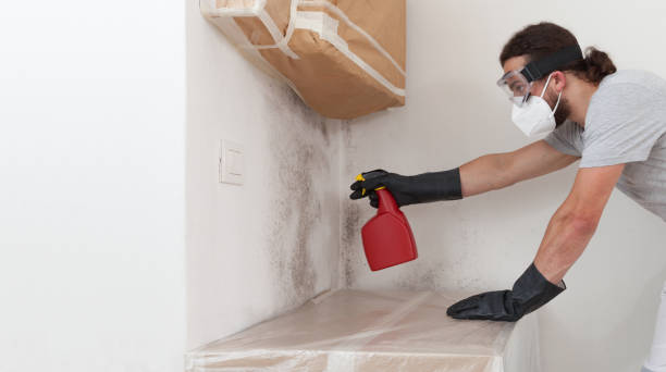 Professional Mold Removal technician working in Westminster, TX